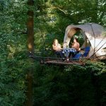 tree-house-2