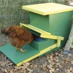 Chicken  Feeder Cluck N Feeders