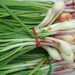 1280px-GreenOnions