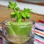 8 Vegetables That You Can Regrow Again And Again.