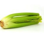 8183-celery-isolated-on-a-white-background-pv