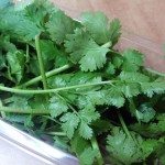 cilantro-348291_960_720