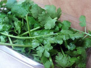 cilantro-348291_960_720