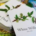 wild-craft-board-game-1