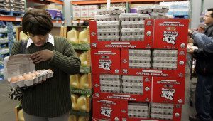 A shopper checks out organic brown eggs at Costco in Mountain View, Calif., Sunday, Feb. 22, 2009. Consumer spending rose in January after falling for a record six straight months, pushed higher by purchases of food and other nondurable items. (AP Photo/Paul Sakuma)