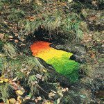 land-art-andy-goldsworthy-13