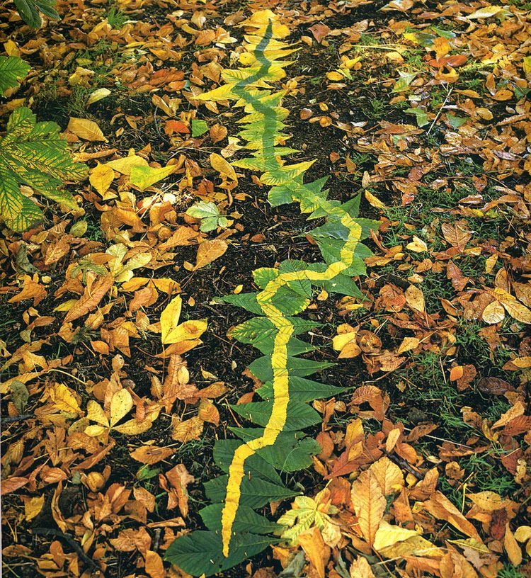 land-art-andy-goldsworthy-14