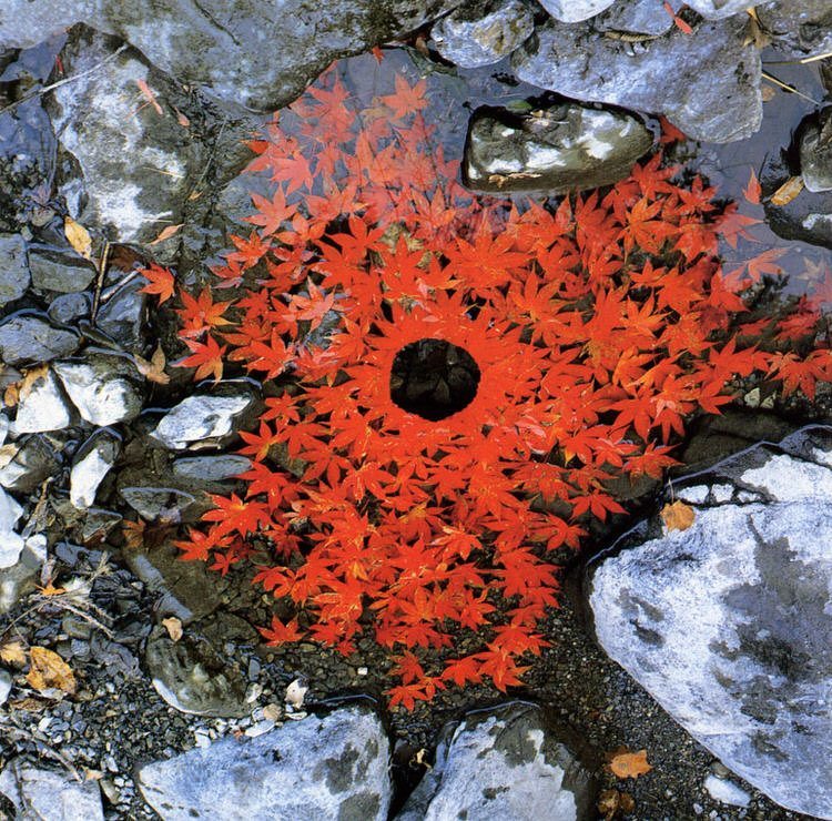 land-art-andy-goldsworthy-15