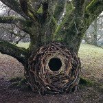 land-art-andy-goldsworthy-2