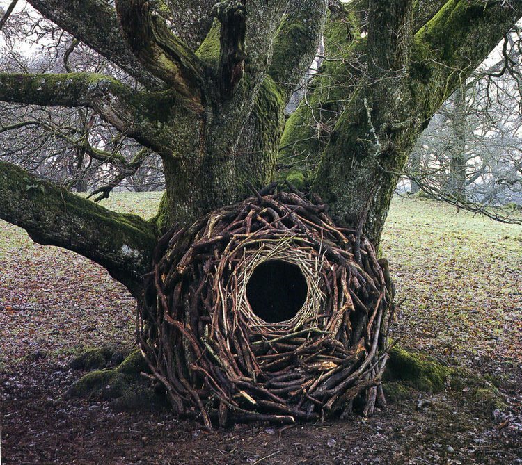 land-art-andy-goldsworthy-2