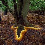 land-art-andy-goldsworthy-3