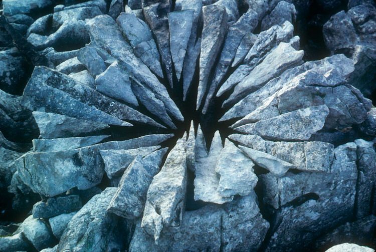 land-art-andy-goldsworthy-8