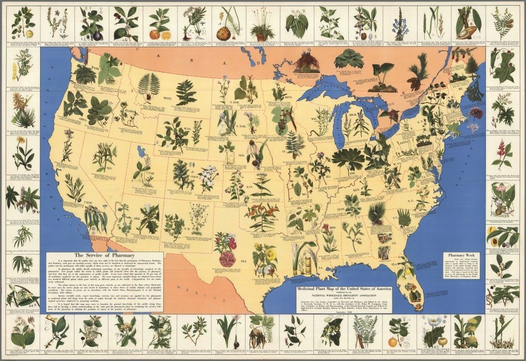 medicinal plant map