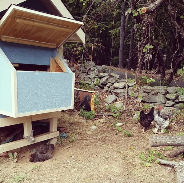 cutest chicken house