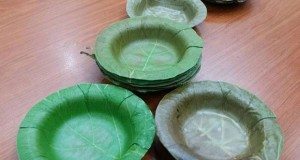 leaf dinnerware
