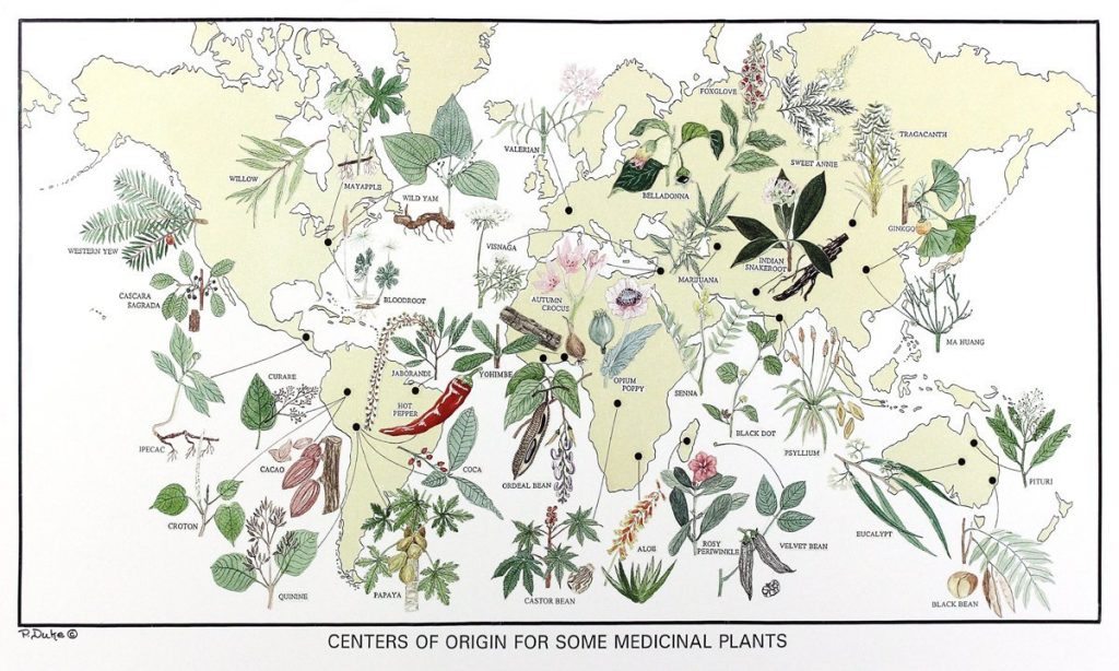 medicinal plants amazon