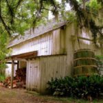 rain water collection cabin