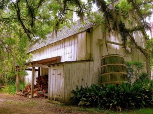 rain water collection cabin