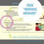 Step Four: Wellness Advocate doTERRA