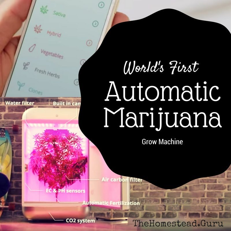 Seedo Homelab Automatic Marijuana Growing Machine