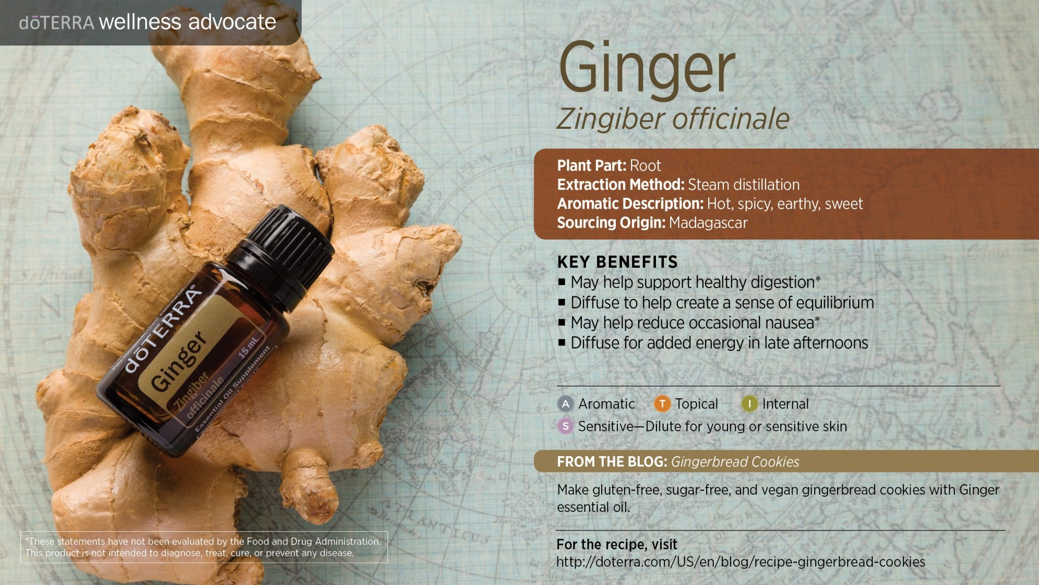 ginger