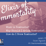 how to brew kombucha