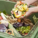 Kitchen and Garden Waste