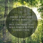 forest connection