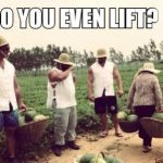 homestead hit the gym