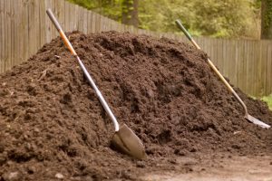 homesteading wanna be a homesteader hit the gym