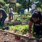 atlanta community garden