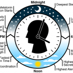 biological-clock-660×422