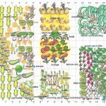 companion planting design