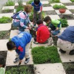 elementary garden