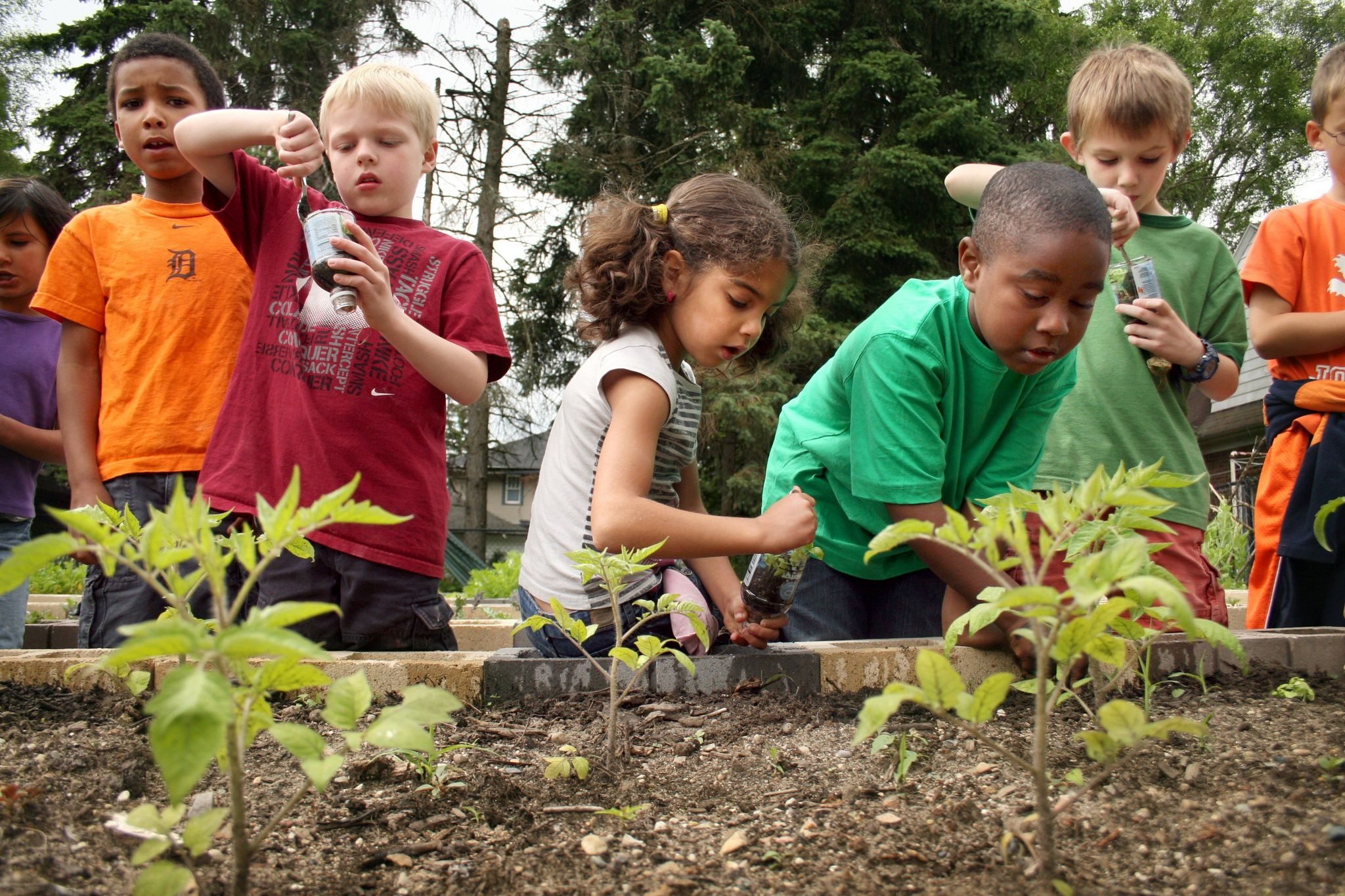 First and second grade students from Oakdale Christian School work to loosen plants from the plastic bottles they planted them in from seeds at Fuller Avenue Christian Reformed Church. The church parking lot is hosting a an urban garden. (Jessica Scott | The Grand Rapids Press)