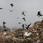 A woman looks for items to recycle at a rubbish landfill on the outskirts of Islamabad