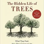 the hidden lives of trees