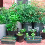 trashcan container garden