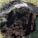 biochar terra preta compost bokashi