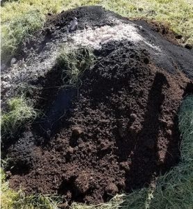 biochar terra preta compost bokashi