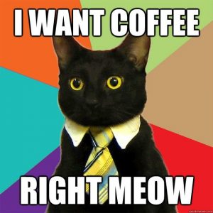 coffee-cat-shit