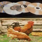 entertainingchickens