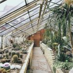 greenhouse-768740_1280