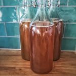 kombucha-1074594_640