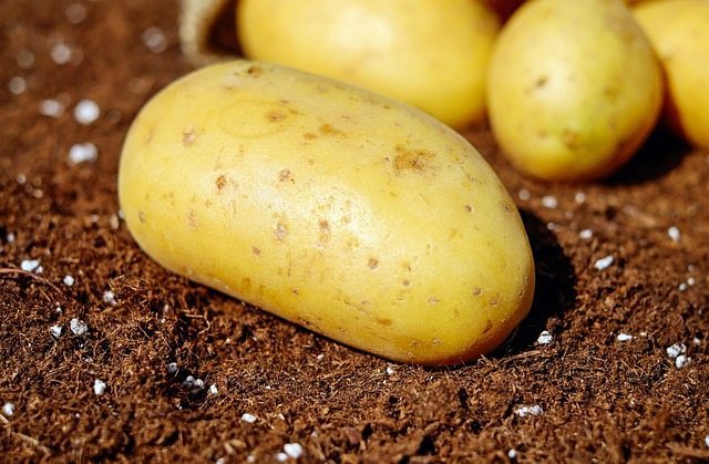 potatoes-1585057_640