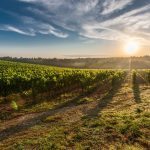 tuscany-428041_640