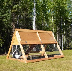 DIY chicken coop