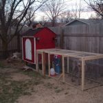 DIY chicken coop
