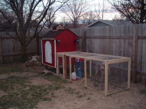 DIY chicken coop