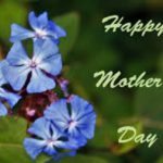 Happy Mother’s Day